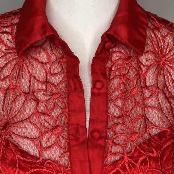 Say What? Dress Red Sleeveless Lace Stain Chiffon Fit and Flair Holiday Dress - Picture 7 of 16